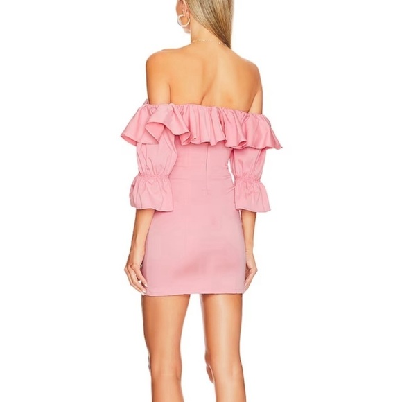 NWT Camila Coelho Violet Mini Dress in Baby Pink Size Small - Picture 3 of 12